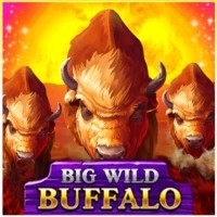 Big Wild Buffalo slot logo by Belatra Games at Xtraspin CasinoBig Wild Buffalo